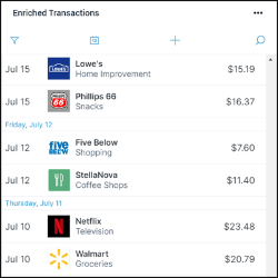 Money360 Enriched Transactions Mini Card Example